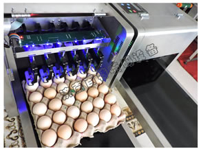 ɽ�|���a�C��˾����